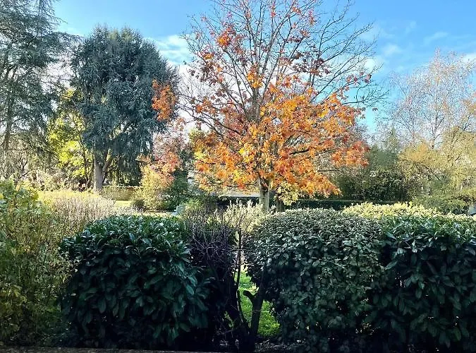 Moderne Proche Gare אנז'ה